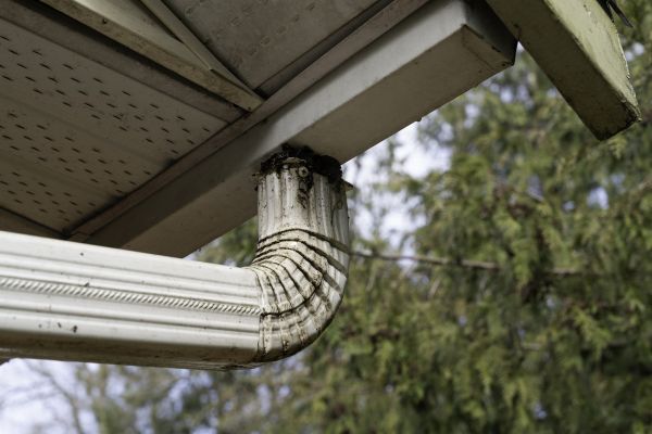 Cost of Roof Drain Replacement in San Francisco