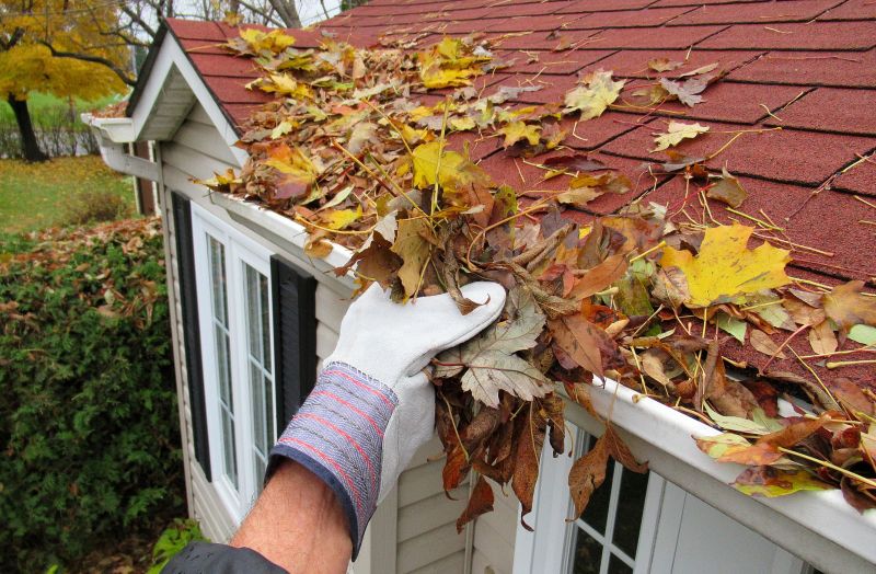 Pre-Winter Gutter Check