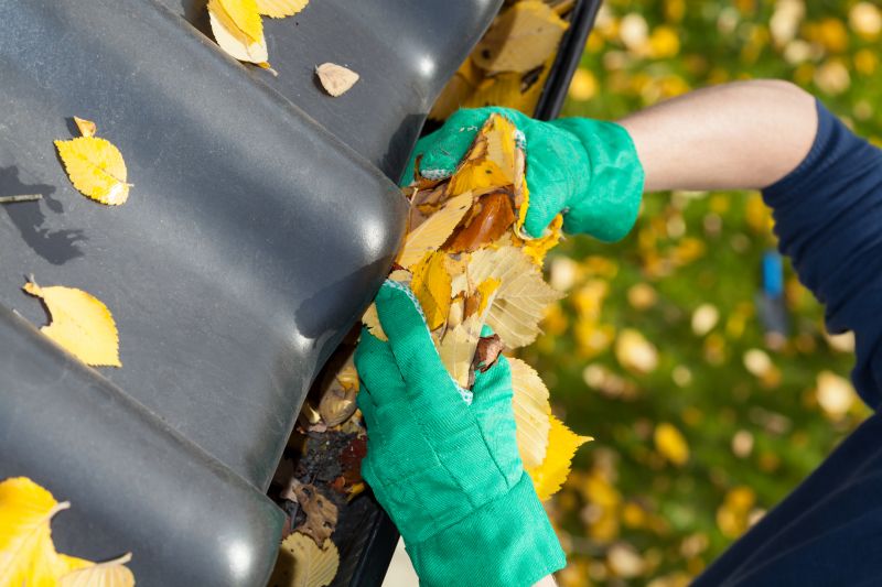 Fall Leaf Removal