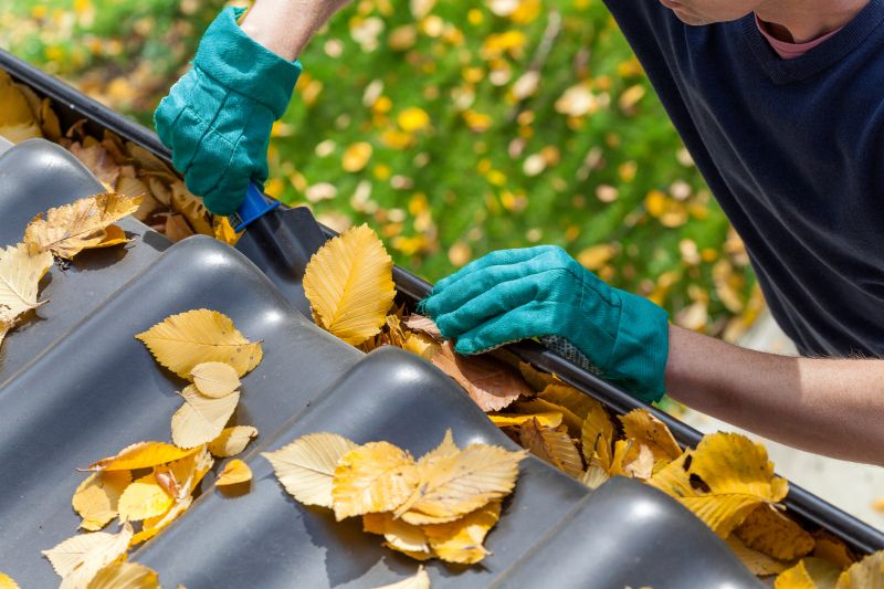 Holiday Gutter Maintenance